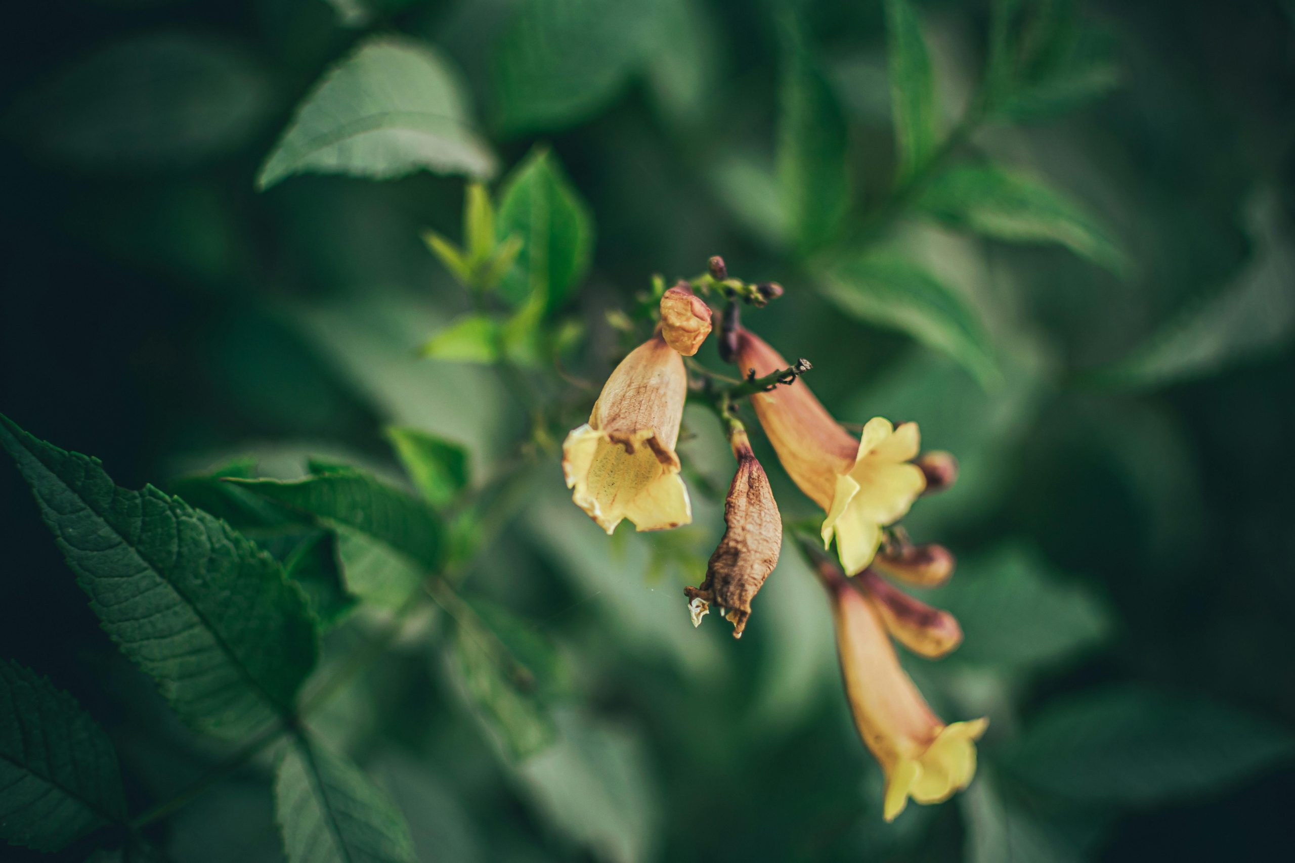 Strategies for Transitioning Your Wardrobe Between Seasons