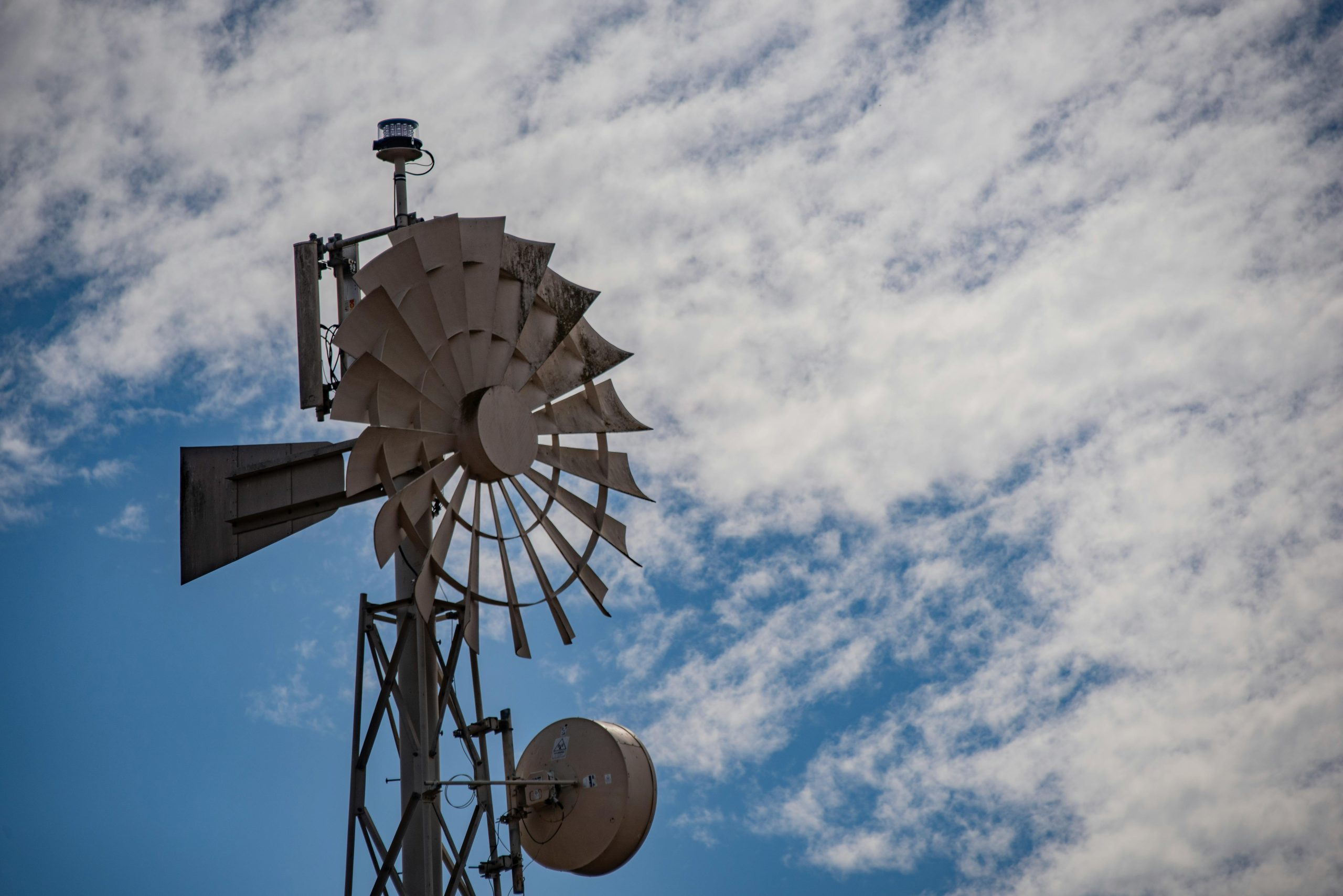 Exploring Careers in Renewable Energy Policy and Advocacy