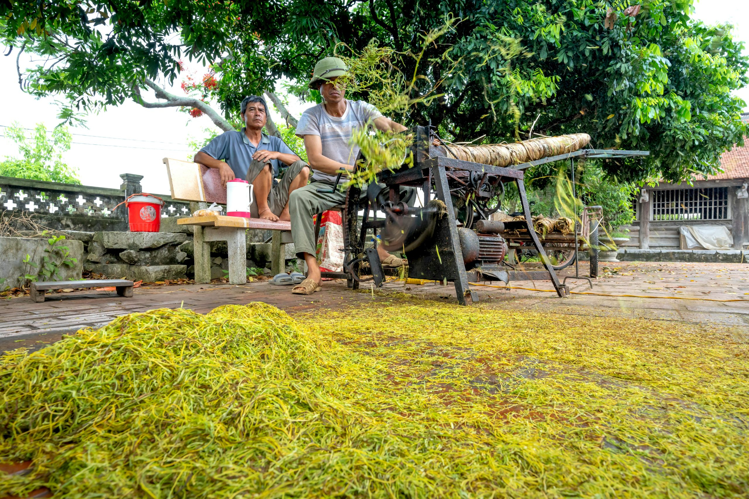 Maximizing Your Productivity With the Pomodoro Technique