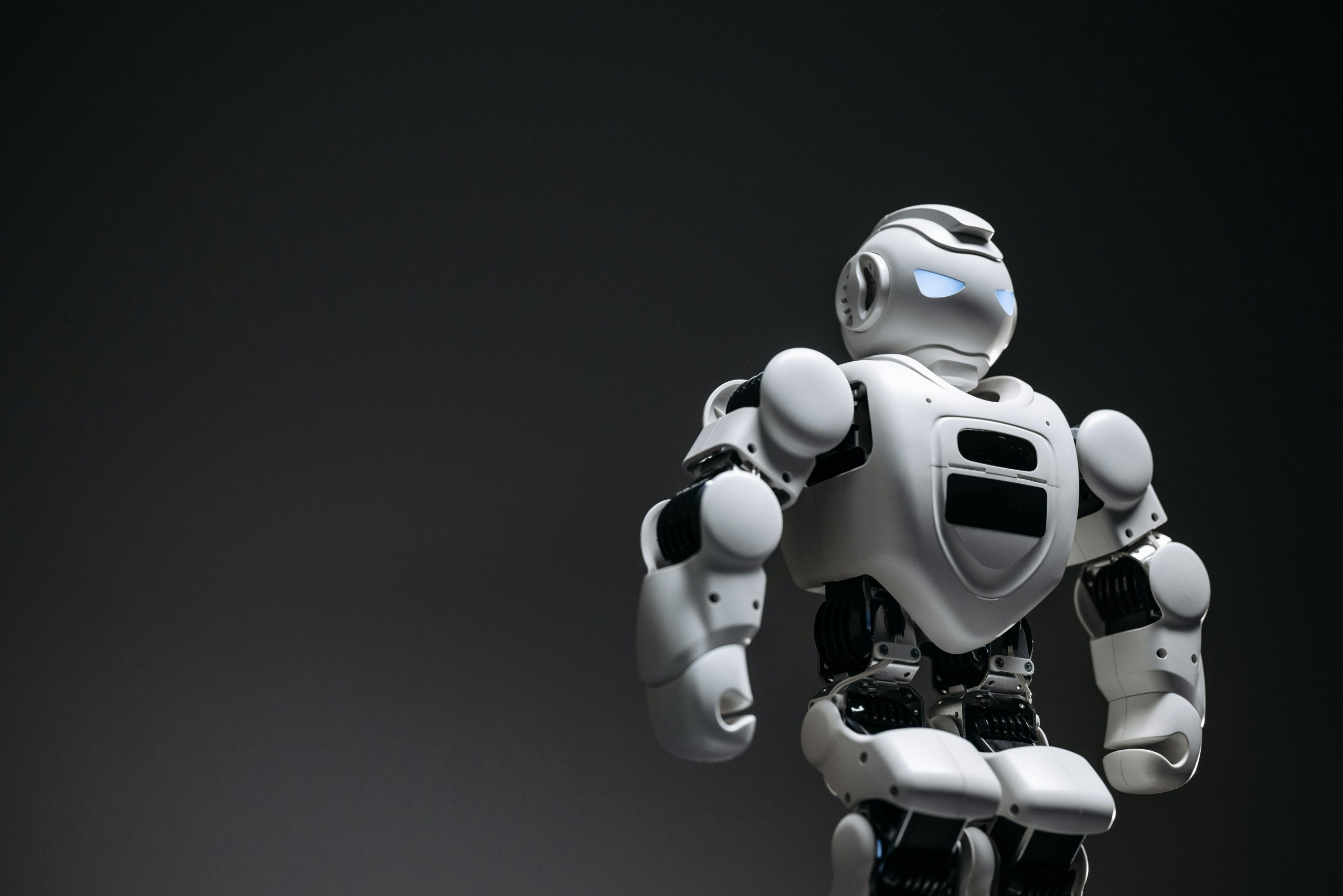 The Future of Work: Navigating Automation and Emerging Roles